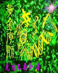 黄金序列