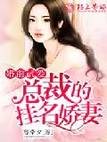 婚前试爱,总裁的挂名娇妻